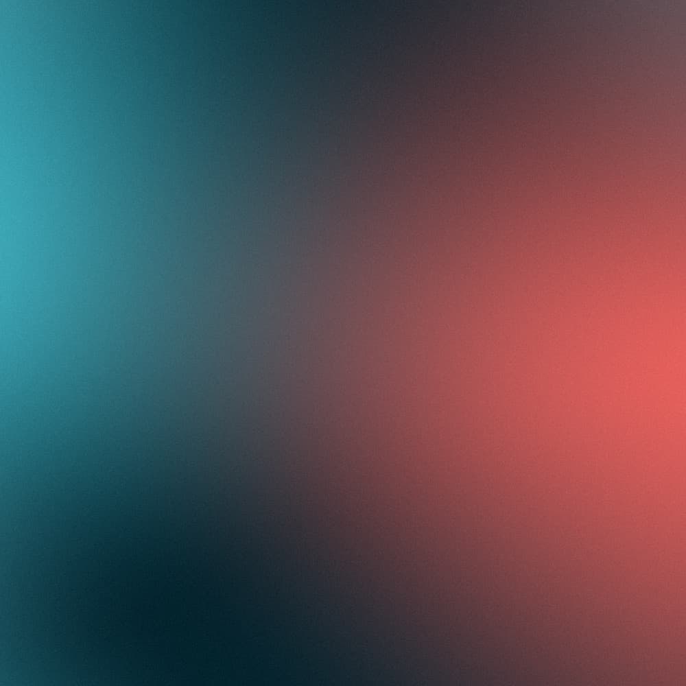 Autovermietung: Vom Chaos zum Tech-Unternehmen